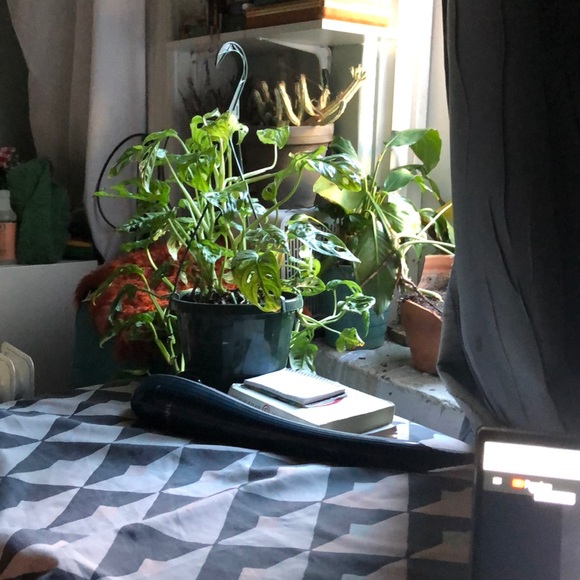 Meet your Posher, Adriana - Picture 1 of 1